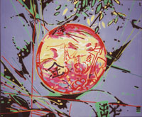 vorheriges Bild: asiatic ball