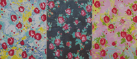 vorheriges Bild: Roses